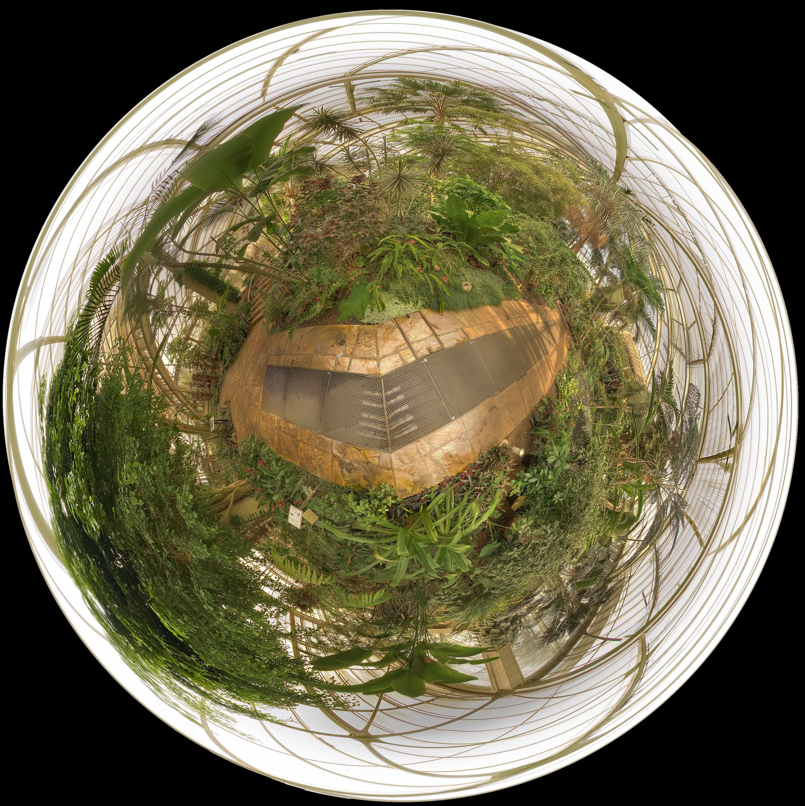 pano serre phoenix hdr